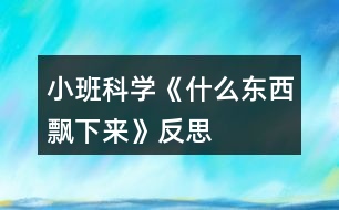 小班科學《什么東西飄下來》反思