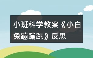 小班科學教案《小白兔蹦蹦跳》反思