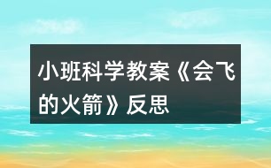 小班科學教案《會飛的火箭》反思