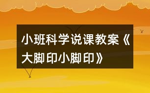 小班科學(xué)說(shuō)課教案《大腳印、小腳印》