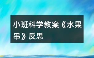 小班科學教案《水果串》反思