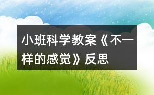 小班科學教案《不一樣的感覺》反思