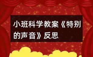 小班科學教案《特別的聲音》反思