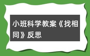 小班科學教案《找相同》反思