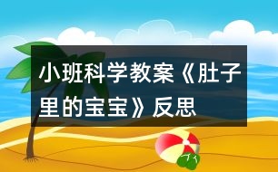 小班科學教案《肚子里的寶寶》反思