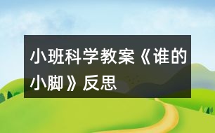 小班科學(xué)教案《誰的小腳》反思