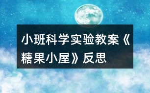 小班科學(xué)實(shí)驗(yàn)教案《糖果小屋》反思