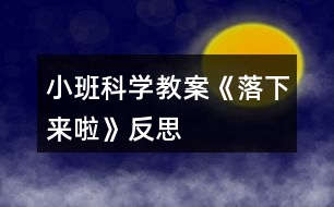 小班科學教案《落下來啦》反思