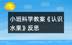 小班科學教案《認識水果》反思