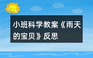 小班科學教案《雨天的寶貝》反思