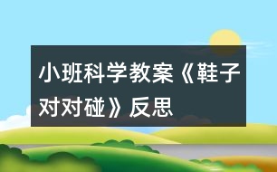 小班科學(xué)教案《鞋子對(duì)對(duì)碰》反思