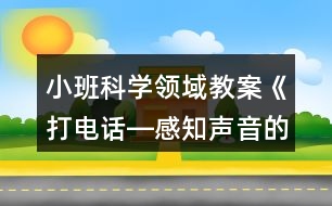 小班科學(xué)領(lǐng)域教案《打電話(huà)―感知聲音的傳遞》反思