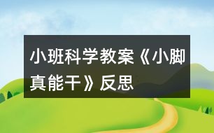 小班科學教案《小腳真能干》反思