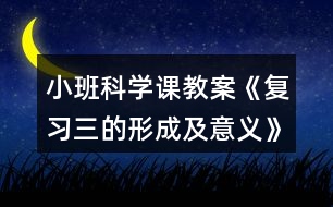 小班科學(xué)課教案《復(fù)習(xí)三的形成及意義》反思