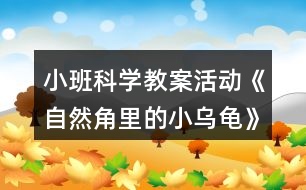 小班科學(xué)教案活動《自然角里的小烏龜》反思