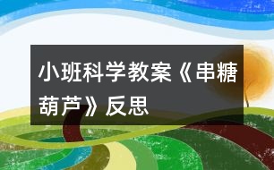 小班科學(xué)教案《串糖葫蘆》反思