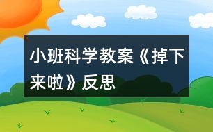 小班科學(xué)教案《掉下來啦》反思