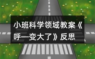 小班科學(xué)領(lǐng)域教案《呼―變大了》反思