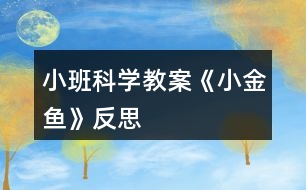 小班科學(xué)教案《小金魚》反思