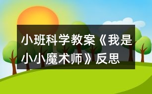 小班科學教案《我是小小魔術(shù)師》反思