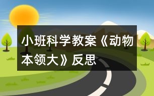 小班科學(xué)教案《動(dòng)物本領(lǐng)大》反思