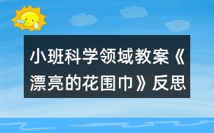 小班科學領域教案《漂亮的花圍巾》反思