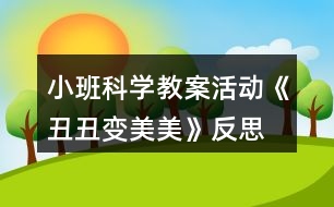 小班科學(xué)教案活動《丑丑變美美》反思