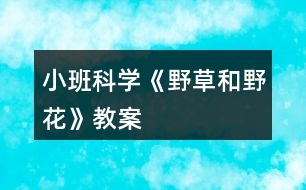 小班科學《野草和野花》教案