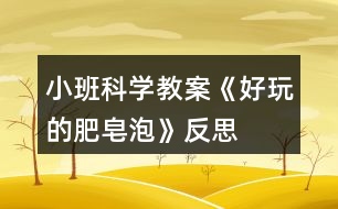 小班科學教案《好玩的肥皂泡》反思