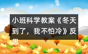 小班科學(xué)教案《冬天到了，我不怕冷》反思