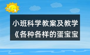 小班科學(xué)教案及教學(xué)《各種各樣的蛋寶寶》反思