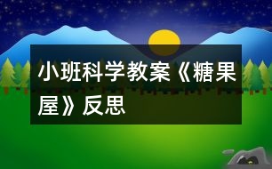 小班科學(xué)教案《糖果屋》反思