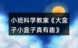 小班科學(xué)教案《大盒子、小盒子真有趣》反思