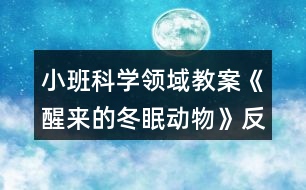 小班科學(xué)領(lǐng)域教案《醒來(lái)的冬眠動(dòng)物》反思