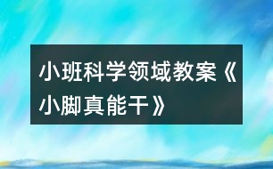 小班科學領域教案《小腳真能干》