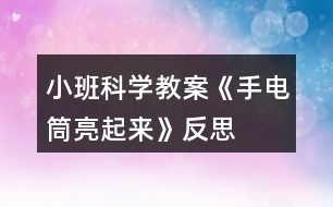 小班科學教案《手電筒亮起來》反思