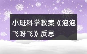 小班科學教案《泡泡飛呀飛》反思