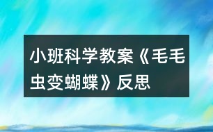 小班科學(xué)教案《毛毛蟲變蝴蝶》反思