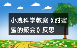 小班科學(xué)教案《甜蜜蜜的聚會》反思