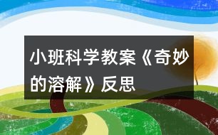 小班科學(xué)教案《奇妙的溶解》反思