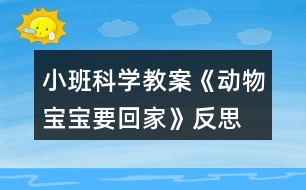 小班科學(xué)教案《動(dòng)物寶寶要回家》反思