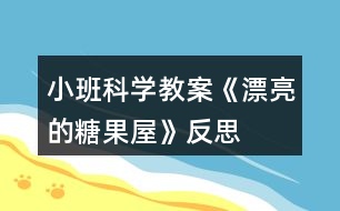 小班科學教案《漂亮的糖果屋》反思