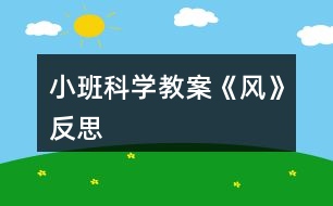 小班科學(xué)教案《風(fēng)》反思