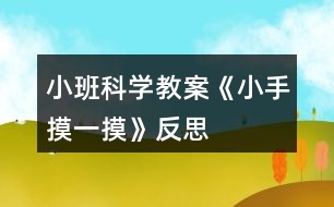 小班科學教案《小手摸一摸》反思