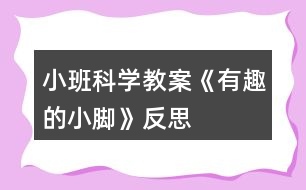 小班科學(xué)教案《有趣的小腳》反思