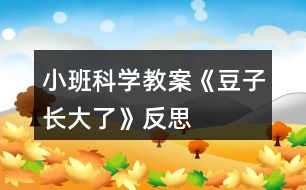 小班科學教案《豆子長大了》反思