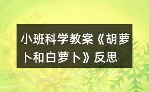 小班科學教案《胡蘿卜和白蘿卜》反思