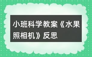 小班科學(xué)教案《水果照相機(jī)》反思