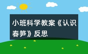 小班科學(xué)教案《認(rèn)識(shí)春筍》反思