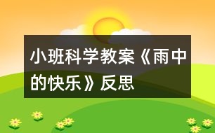 小班科學(xué)教案《雨中的快樂》反思